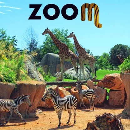 Ingresso gratuito al Bioparco Zoom